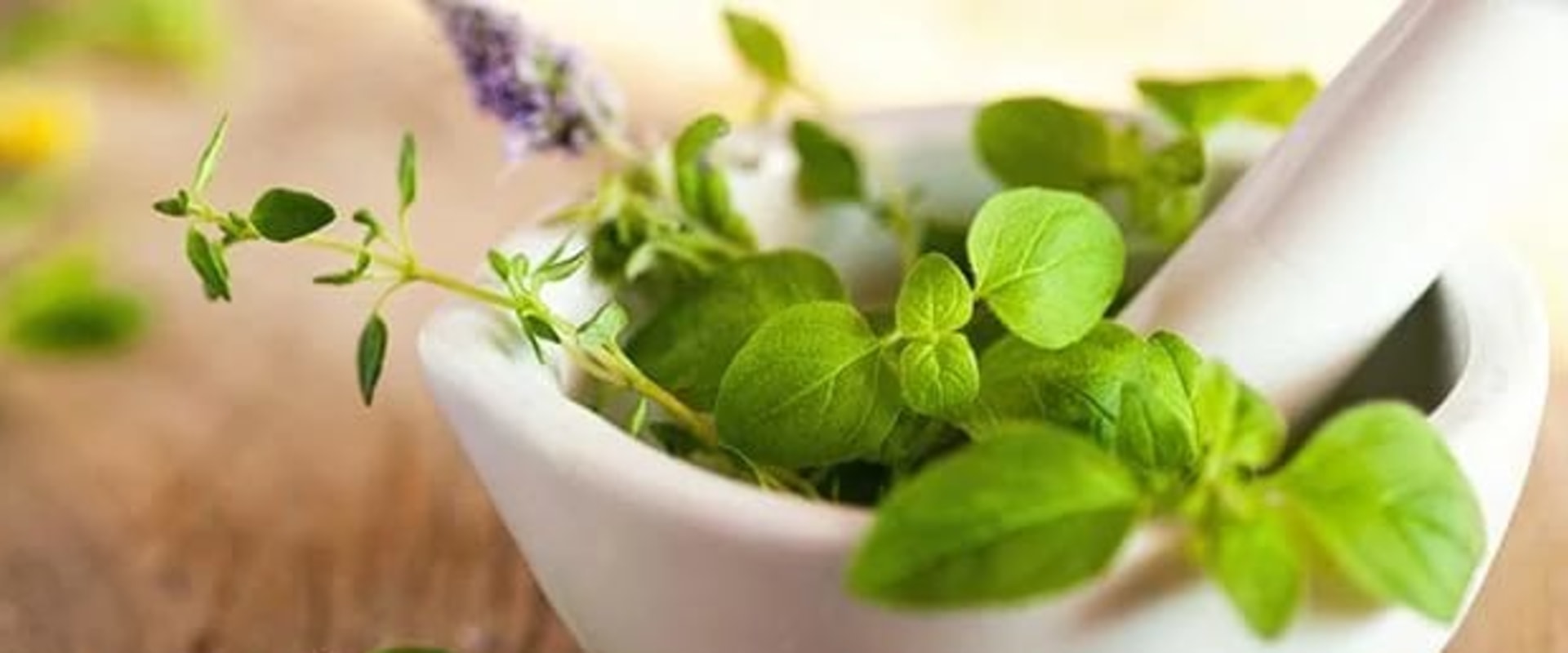 Herbs for Hair Growth: The Natural Solution to Hair Loss