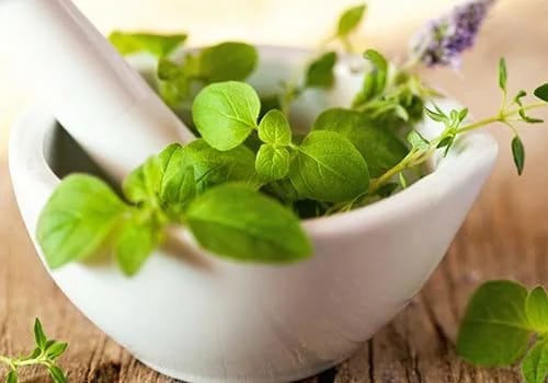 Herbs for Hair Growth: The Natural Solution to Hair Loss